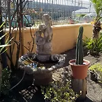 Domus Felix
