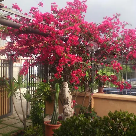 Bed & Breakfast Domus Felix Ercolano