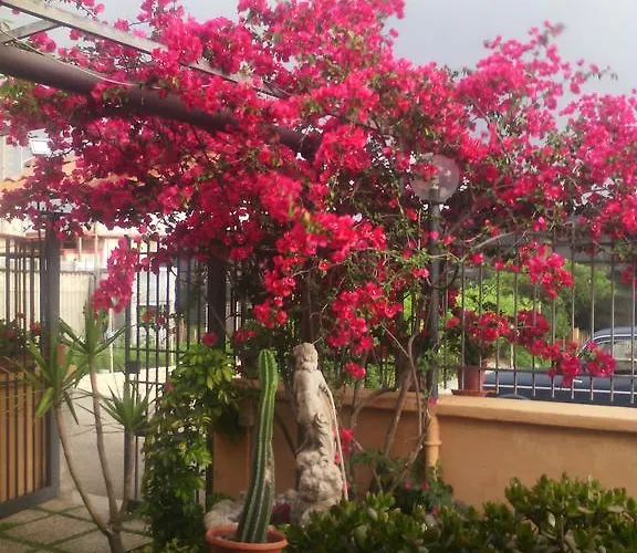 Bed and Breakfast Domus Felix Ερκολάνο